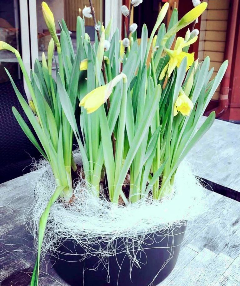 Instagram post from gardscafeet. This post is in position 1.